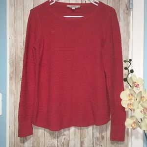 LOFT Women’s Knitted Top